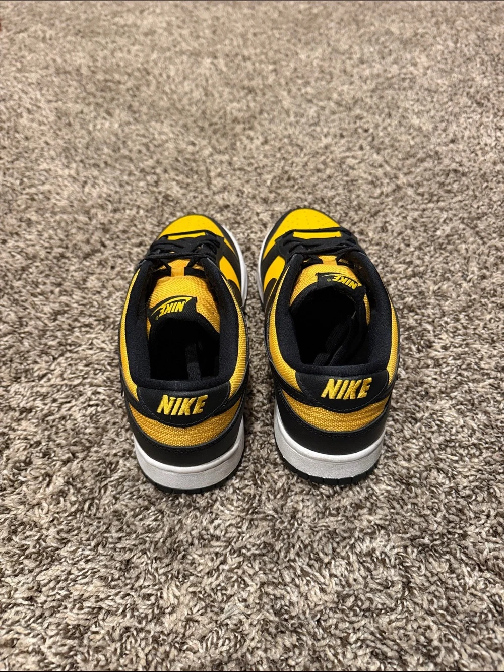 Nike dunks